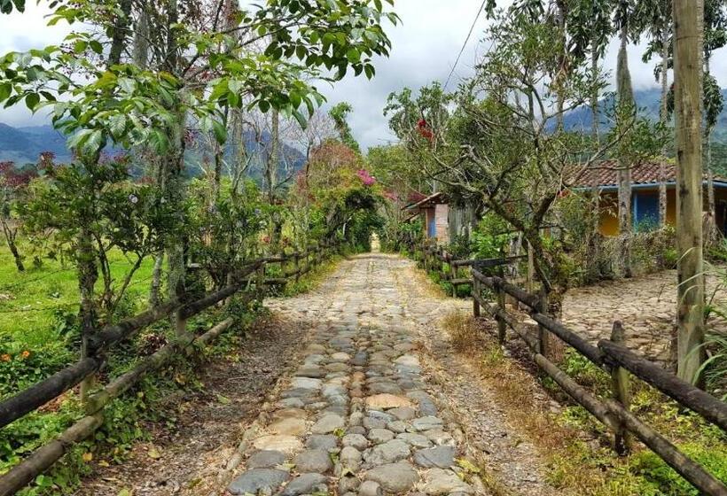 Семейный Номер, Jardín Es Tuyo