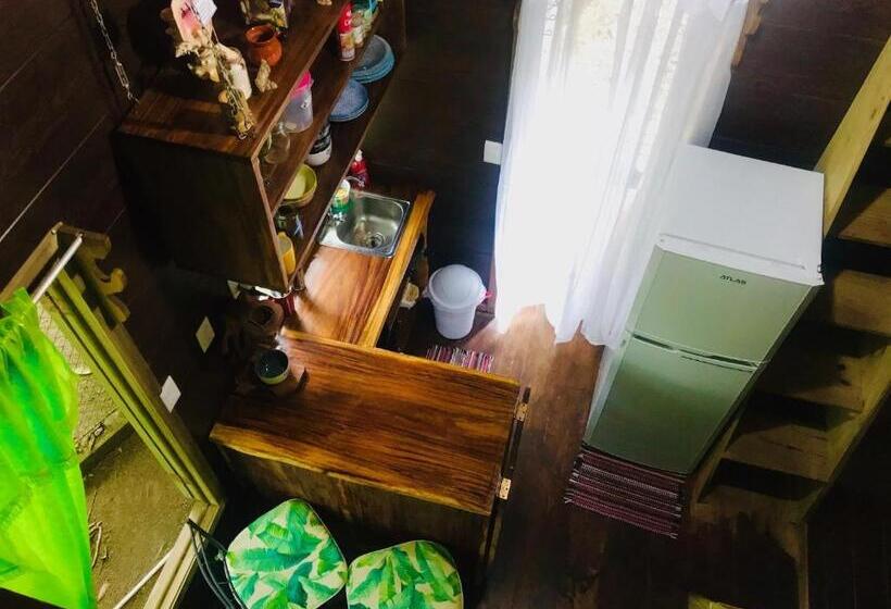 استودیو استاندارد با چشم‌انداز باغ, Guest House Pura Vida