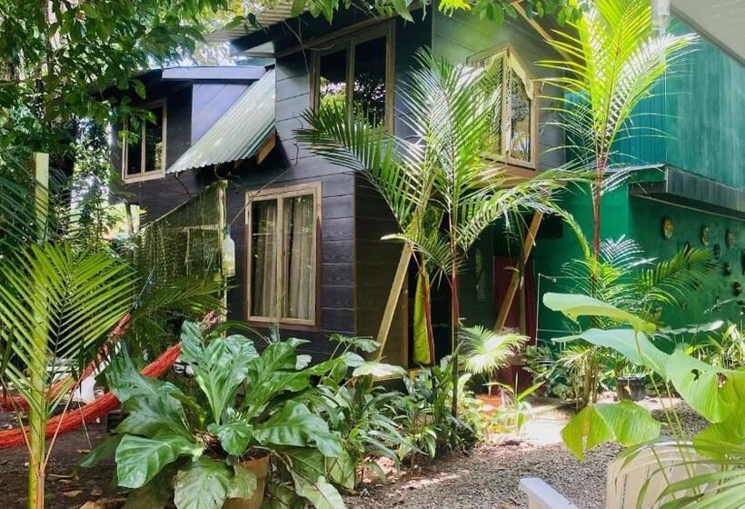 استودیو استاندارد با چشم‌انداز باغ, Guest House Pura Vida