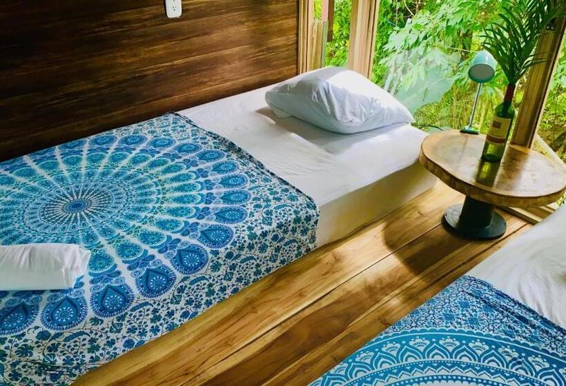 استودیوی لوکس, Guest House Pura Vida