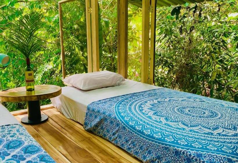 استودیوی لوکس, Guest House Pura Vida