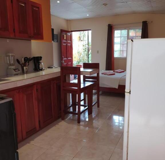 إستوديو قياسى, Sun Havens Apartments & Suites