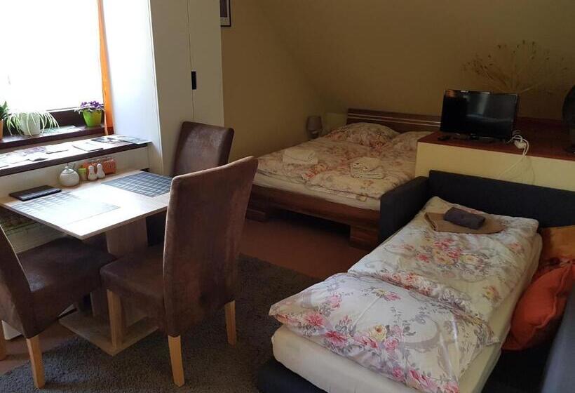 Студия Стандарт, Guest House Sherpa