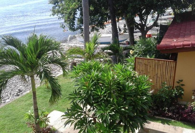 스위트, Nalini Resort