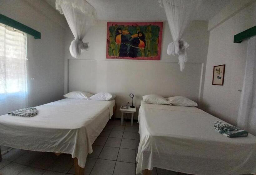 غرفة قياسية مطلّة علي البحر, The Seaside Garden Guesthouse