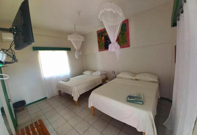 غرفة قياسية مطلّة علي البحر, The Seaside Garden Guesthouse