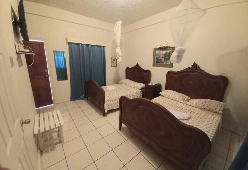 غرفة قياسية مطلّة علي الحديقة, The Seaside Garden Guesthouse