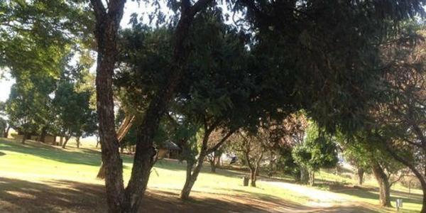 كوخ قياسي, Hlalanathi Drakensberg Resort