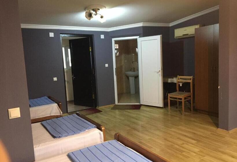 اتاق راحتی سه تخته, Guest House Roman/gonio