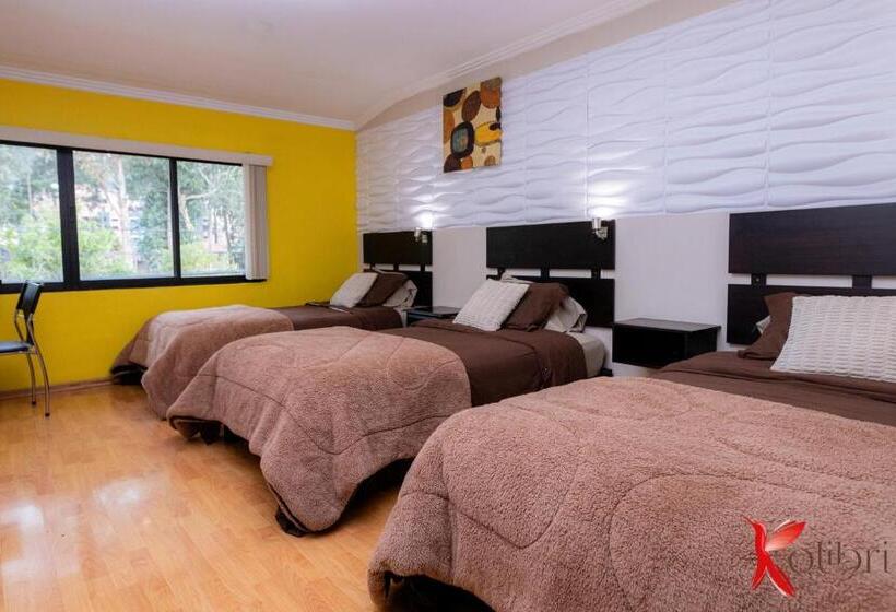 Трехместный Номер Deluxe, Hostal Kolibri B&b