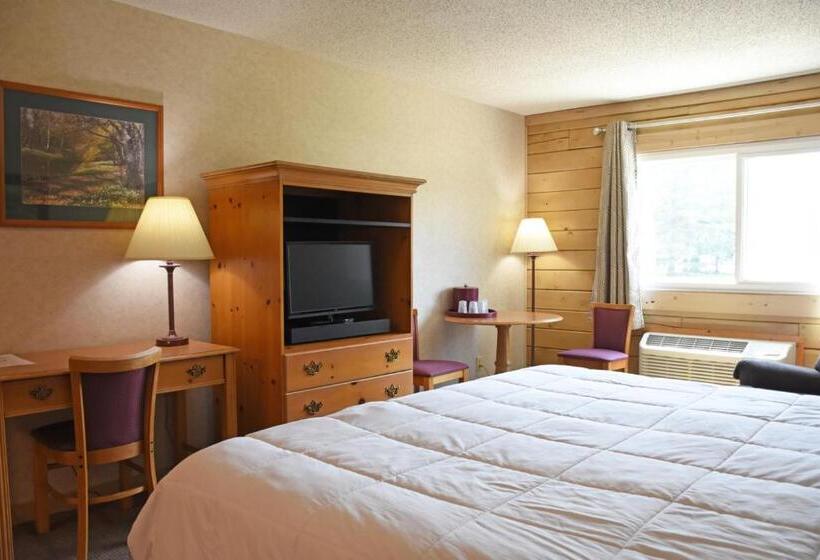 장애인을 위한 킹사이즈 침대 스탠다드 룸, Paddle Wheel Inn