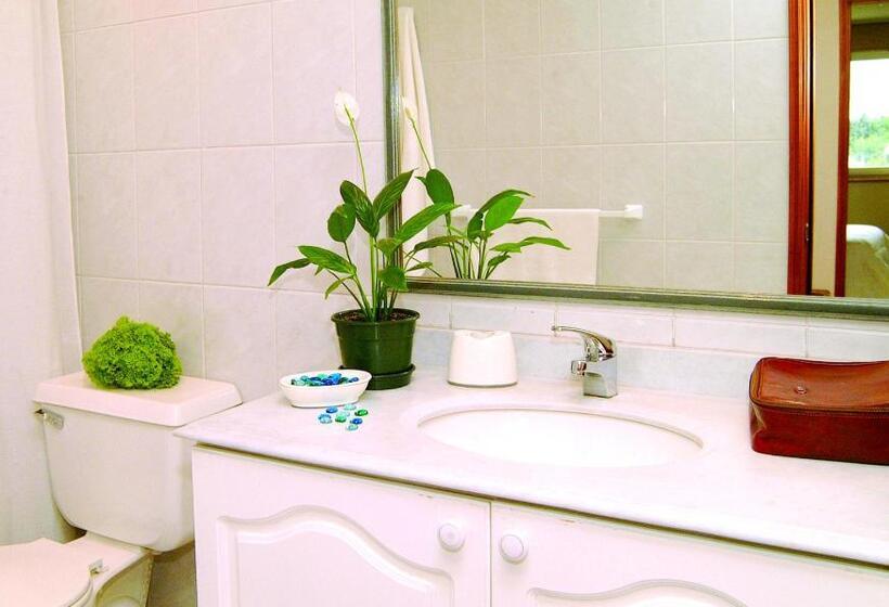 Апартаменты 1 Спальня, Apart Hotel Carampangue