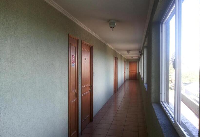 Студия Стандарт, Apart Hotel Carampangue