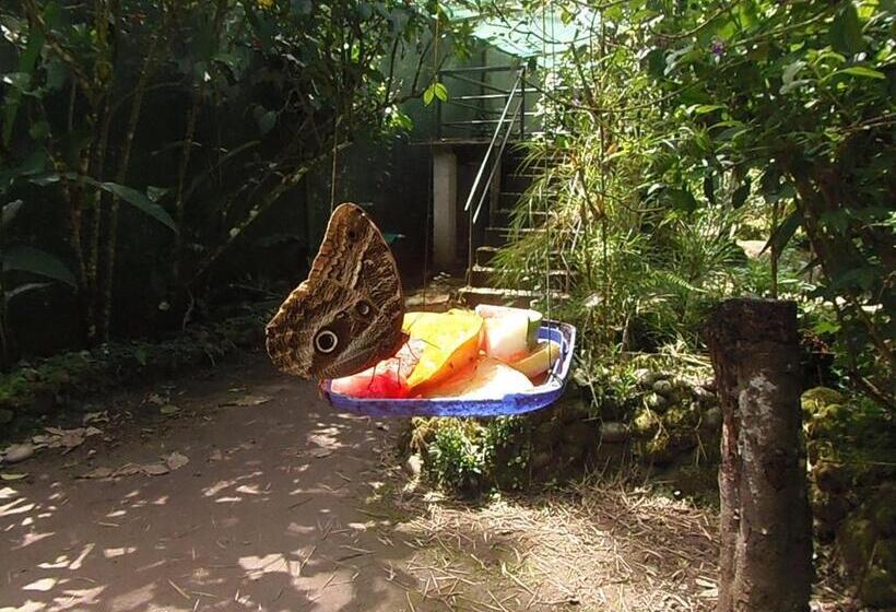 Номер Стандарт, Hostal Pablo S House