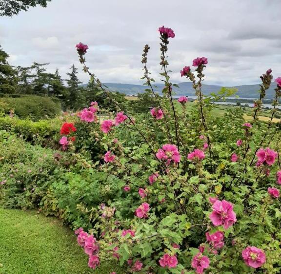 디럭스 스위트, Abhainn Ri Farmhouse