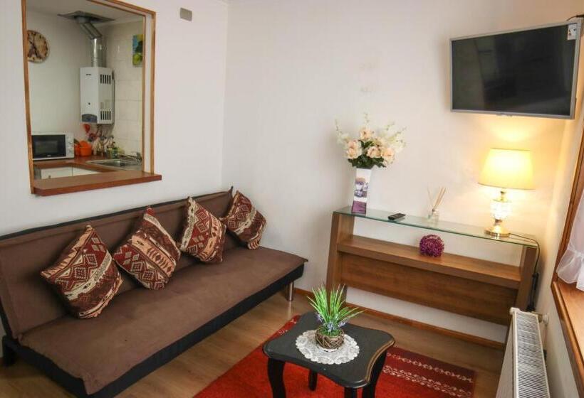 شقة غرفة واحدة, Hostal Cordillera