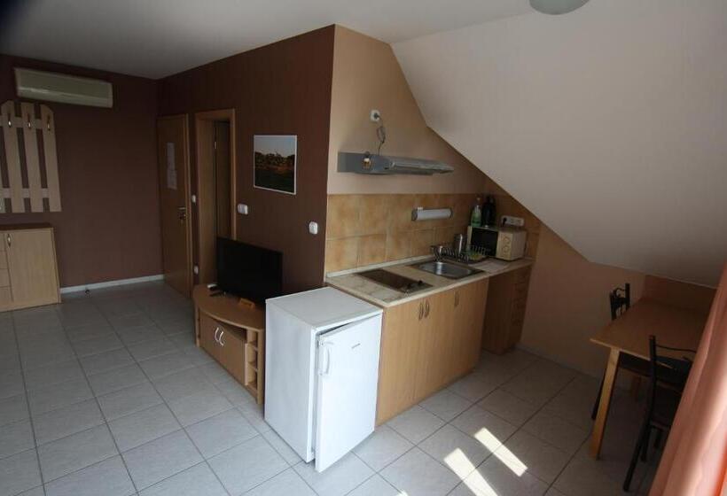Standard studio with lake view, Návay Vendégház