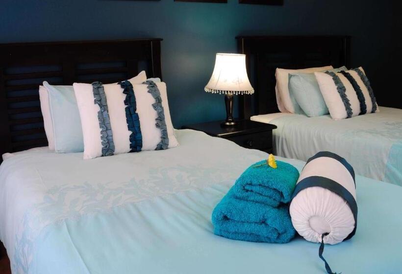 Стандартный Номер Кровать Кинг, Cycas Guest House