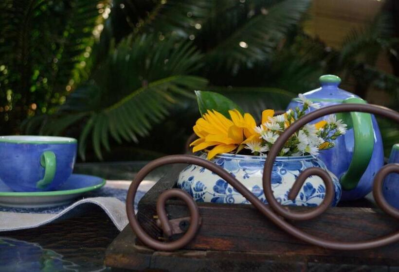 Номер Стандарт, Cycas Guest House