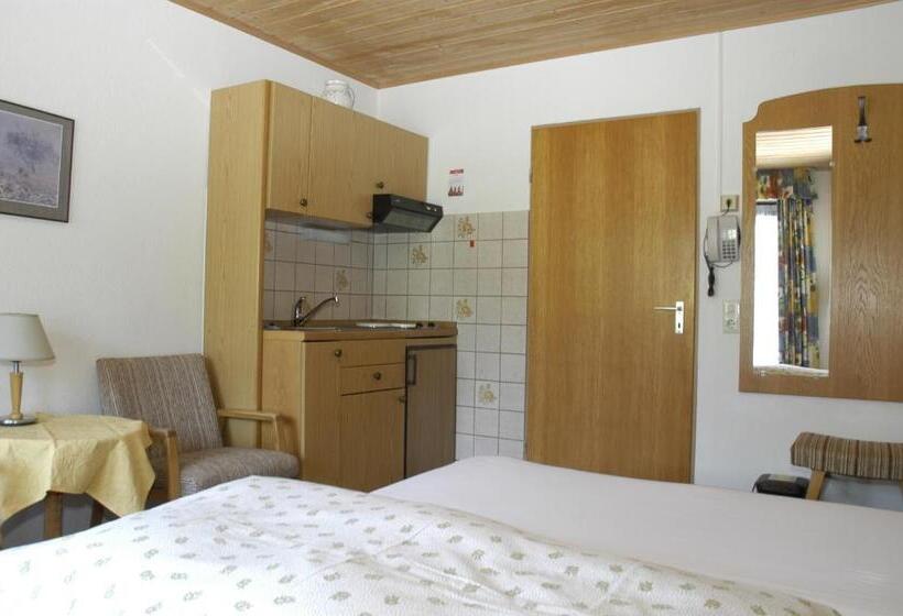Студия Стандарт, Gästehaus Winsauer