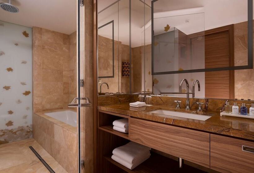 Номер Премиум, Radisson Blu Olympiyskiy