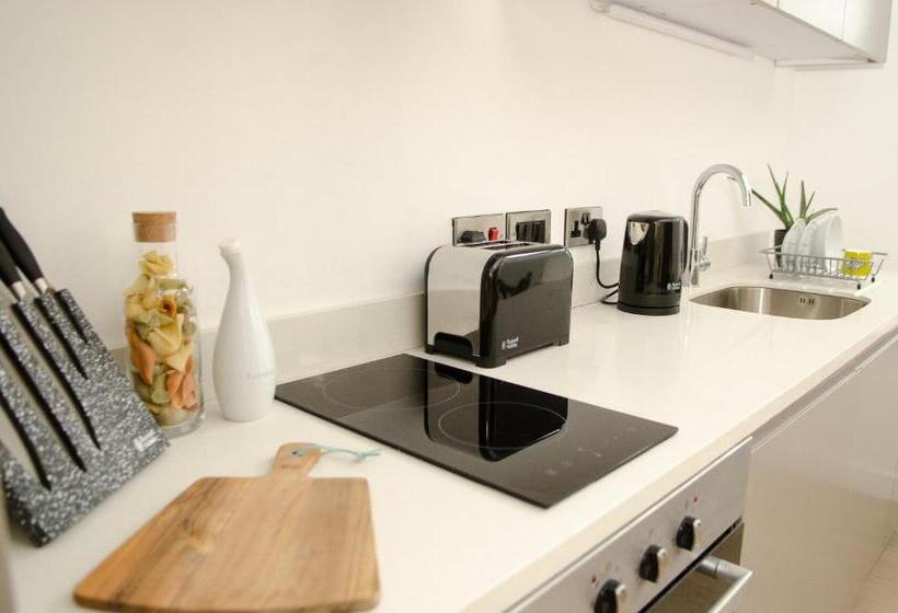스탠다드 스튜디오, Terlon Apartments