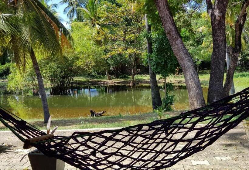 Номер Стандарт, Lucky Beach Resort