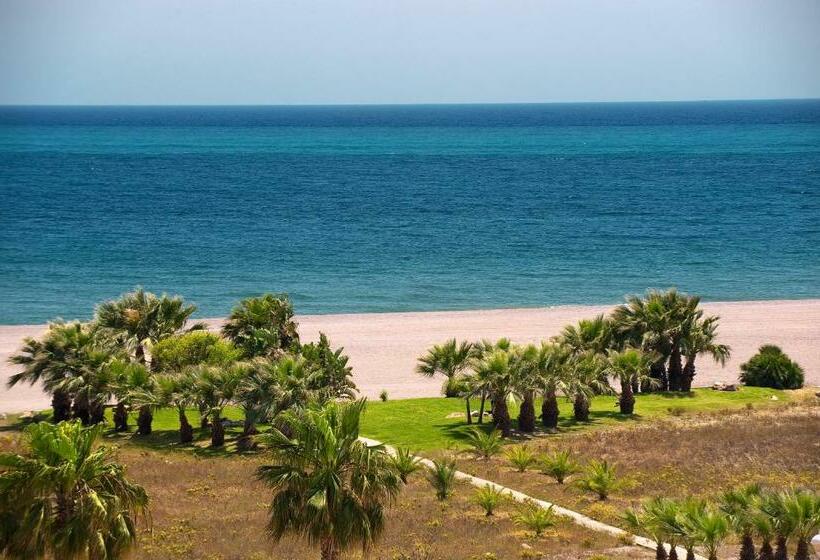 스탠다드 싱글 룸 바다 전망, Elba Motril Beach & Business