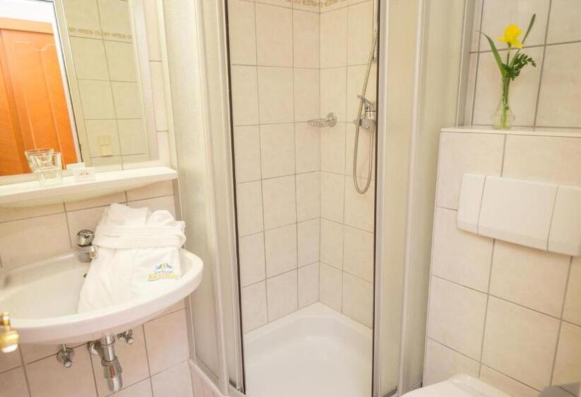 Одноместный Номер с Террасой, Seehotel Ressmann