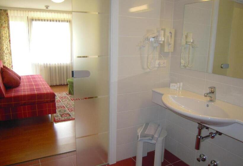 Полулюкс Одноместный с Террасой, Seehotel Ressmann