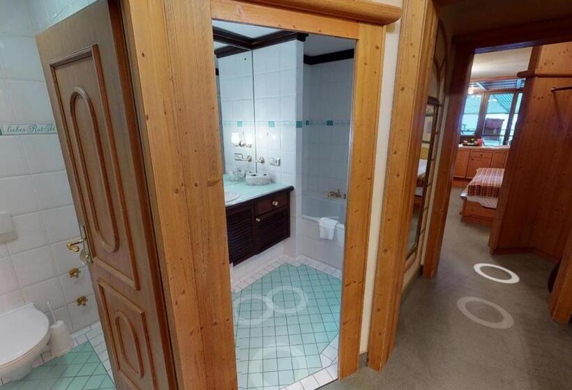 Номер Стандарт с Балконом, Wellnesshotel ...liebes Rot Flüh
