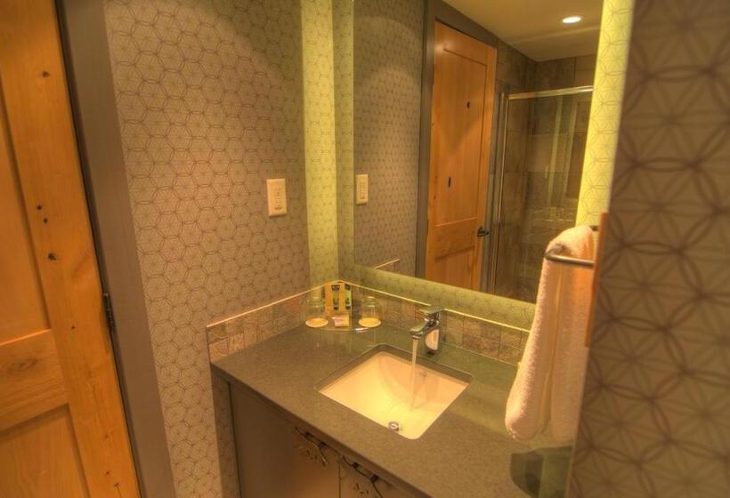 １ベッドルームのスーペリアアパートメント, Banff Rocky Mountain Resort