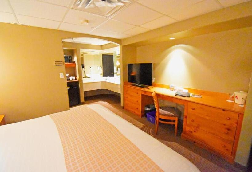 استودیو استاندارد با تخت کینگ, Canad Inns Destination Centre Portage La Prairie