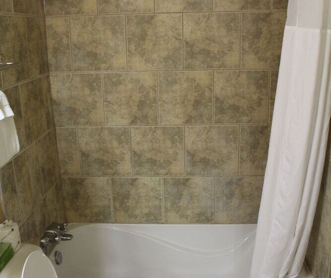 Delüks Oda, Travelodge By Wyndham Swift Current