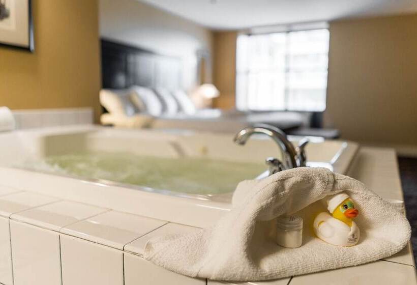 Номер Стандарт 2 Двуспальные Кровати, Temple Gardens Hotel & Spa