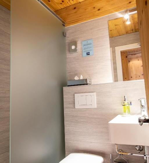 Номер Стандарт Индивидуальный, Hôtel Alpina   Swiss Ski & Bike Lodge Grimentz