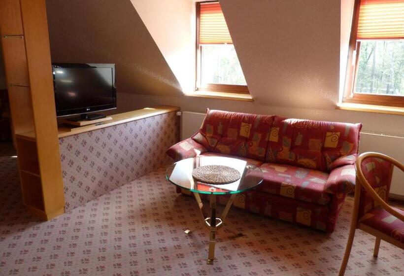 Полулюкс, Heidehotel Soltauer Hof