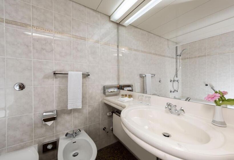 Полулюкс, Maritim Hotel Bad Wildungen