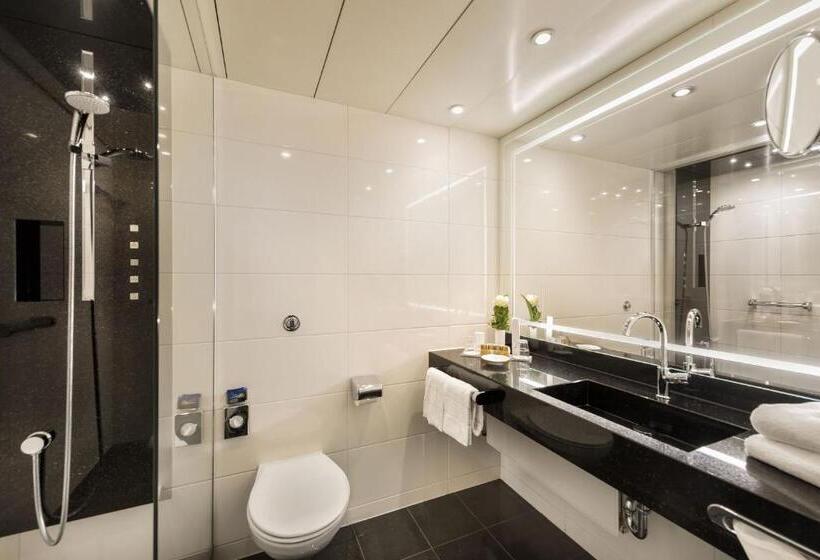 高级大房间, Maritim Hotel Bonn