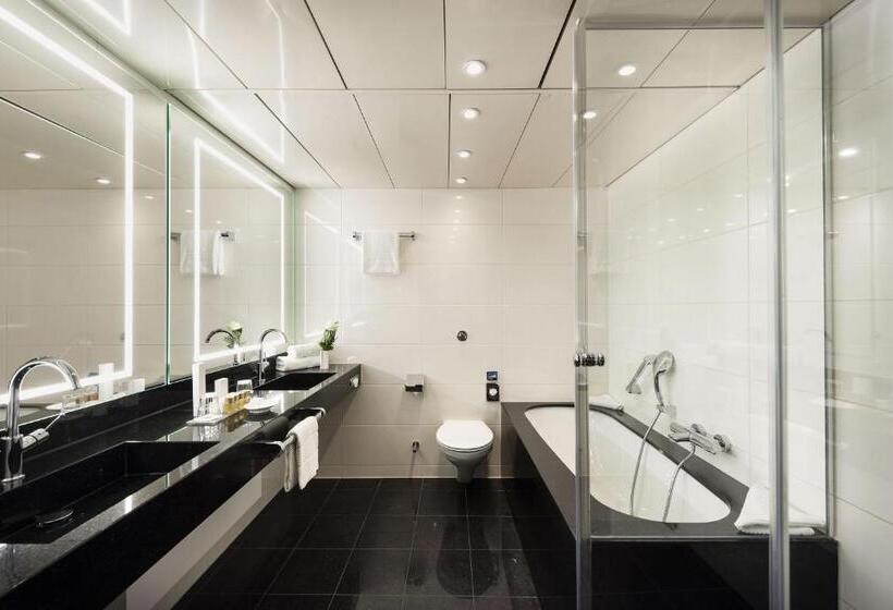 家庭套房, Maritim Hotel Bonn