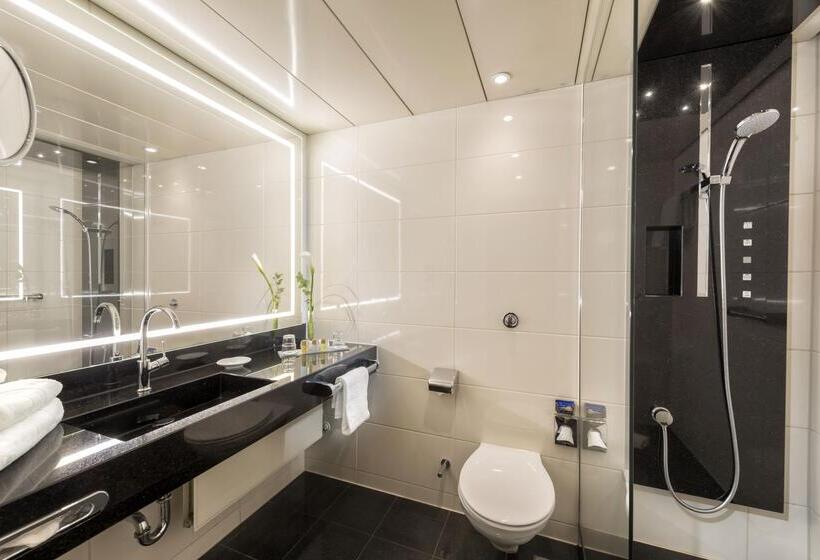 舒适型房间, Maritim Hotel Bonn