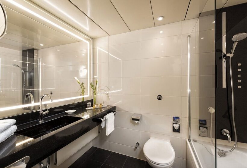 舒适型房间, Maritim Hotel Bonn
