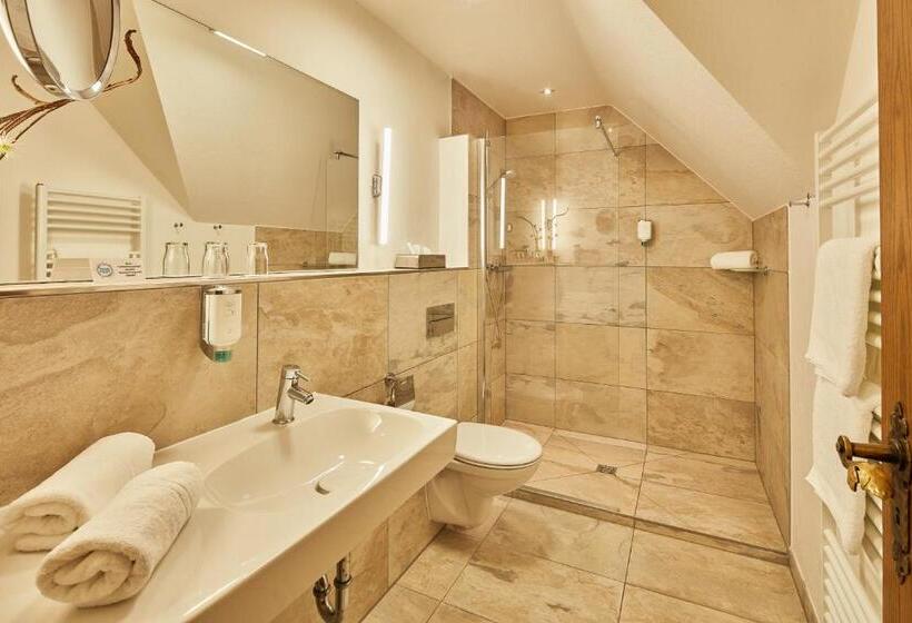 Номер Комфорт, Romantikhotel Platte