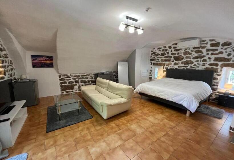 Люкс с Террасой, Hôtel Mas De L Espaïre