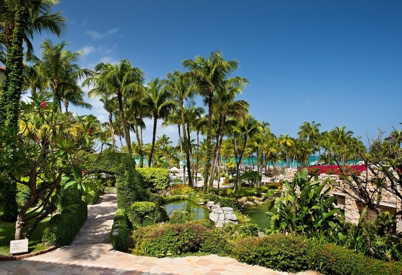 חדר אקונומי מיטה זוגית, Hyatt Regency Aruba Resort & Casino