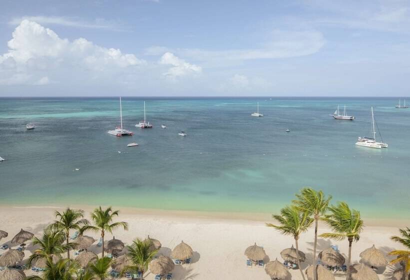 סטודיו סטנדרט מיטה זוגית, Hyatt Regency Aruba Resort & Casino