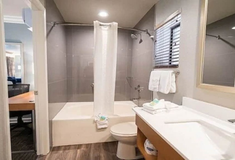 سوییت, Alexis Park All Suite Resort