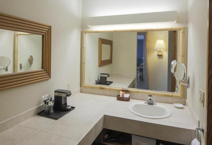 غرفة قياسية سرير كينج لذوى الإحتياجات الخاصة, Bay Club Hotel And Marina