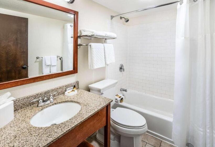 Номер Стандарт, Best Western Plus Eagle Vail Valley