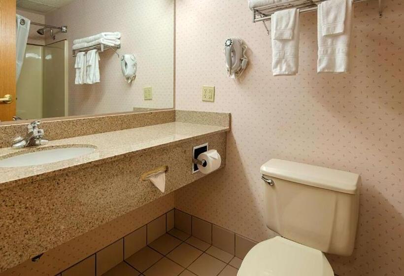 Номер Стандарт с Гидромассажем, Best Western Sault Ste. Marie